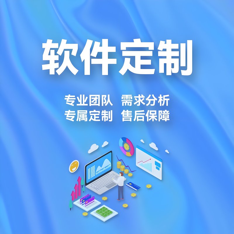 软件定制开发
