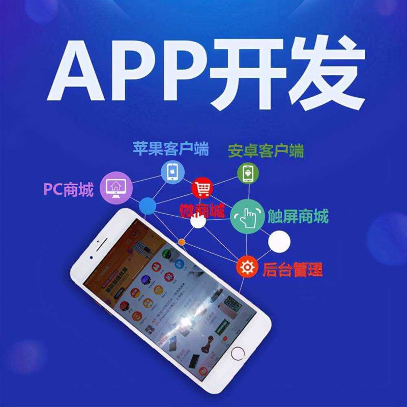 在数字化时代，企业对于个性化、高效化的软件需求日益增长。面对这样的市场需求，选择合适的开发方式显得尤为重要。本文将通过案例解读的方式，探讨定制化软件开发的优势与挑战。